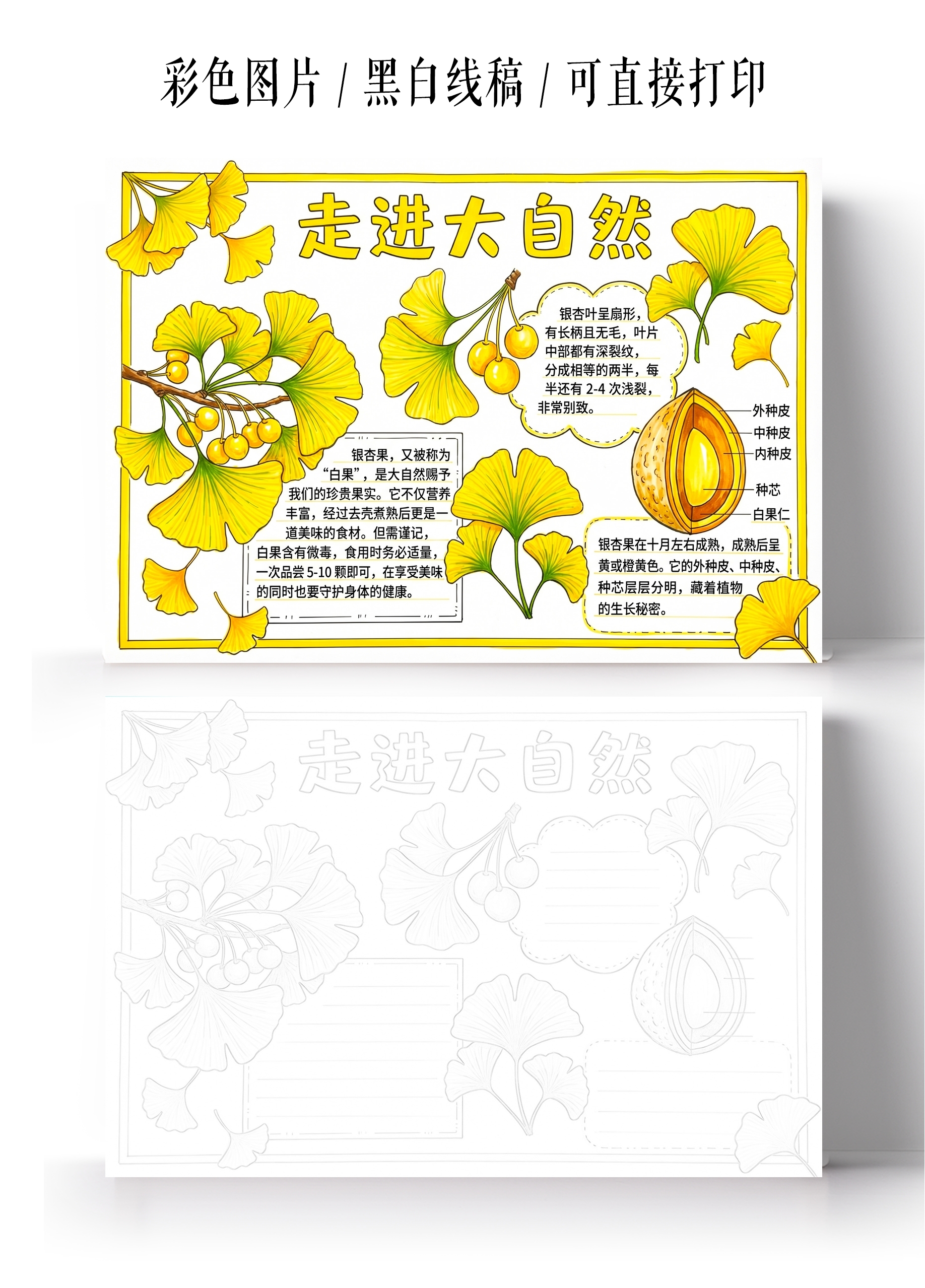 彩色卡通手绘走进自然小报手抄报小学生手抄报
