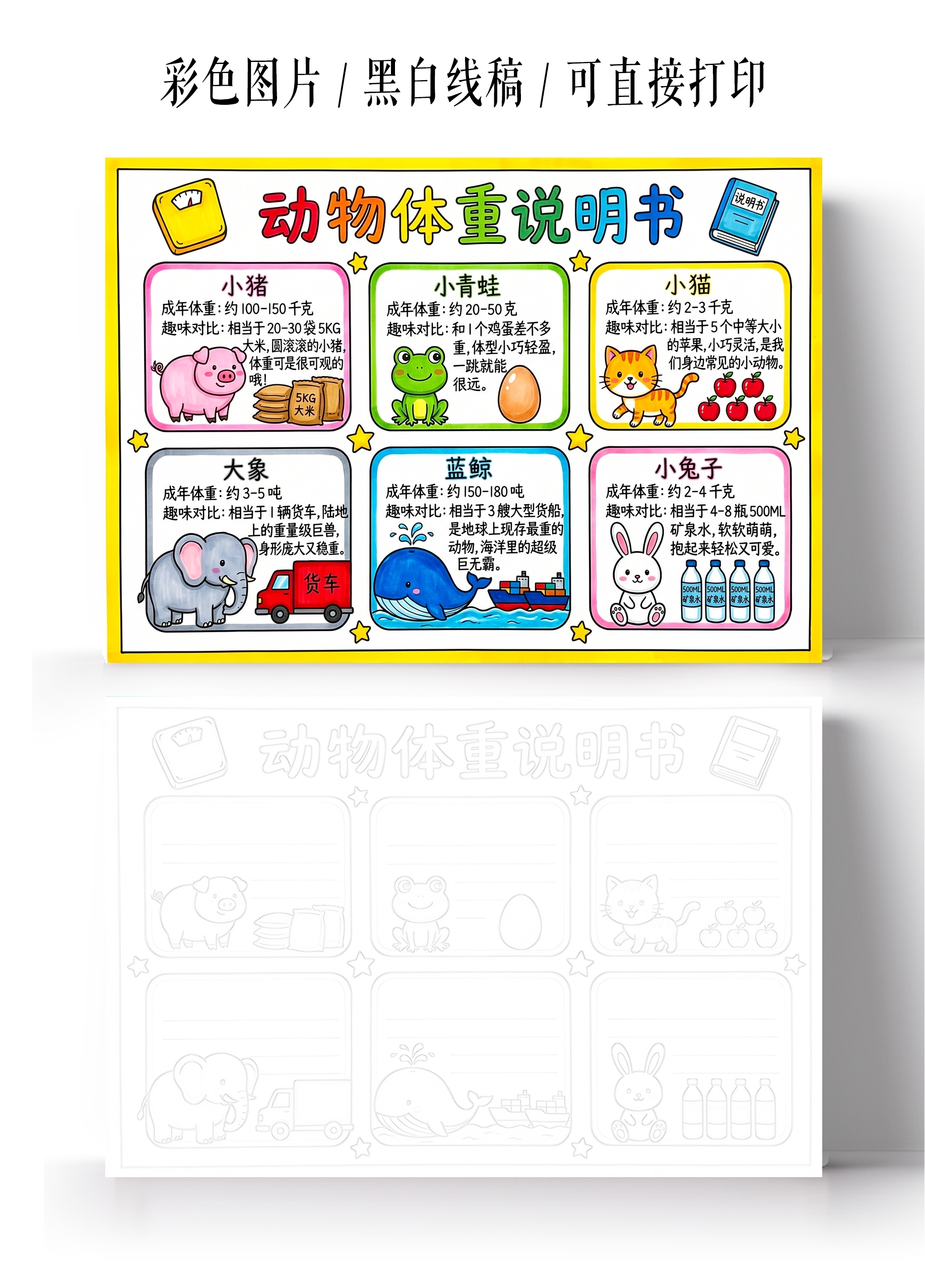 彩色卡通手绘动物体重说明书小报手抄报小学生手抄报