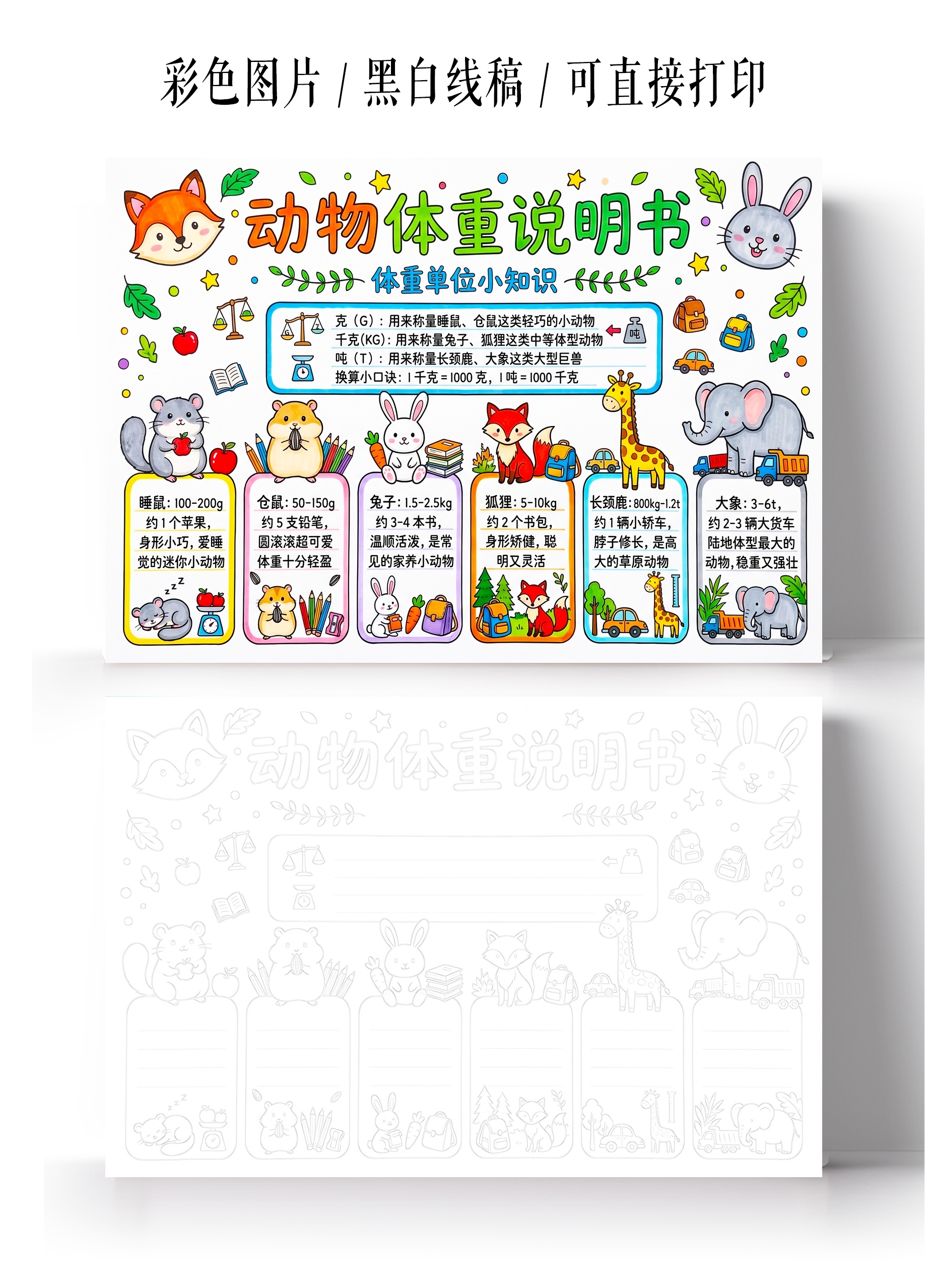 彩色卡通手绘动物体重说明书小报手抄报小学生手抄报