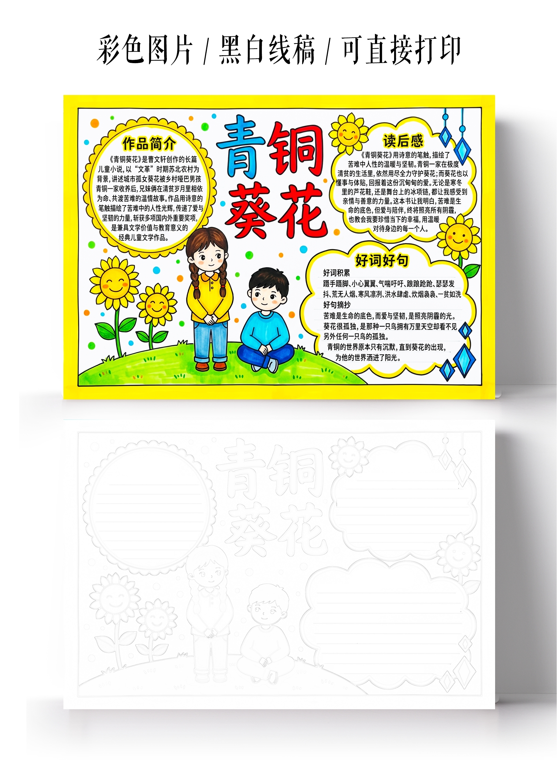 彩色卡通手绘青铜葵花小报手抄报小学生手抄报