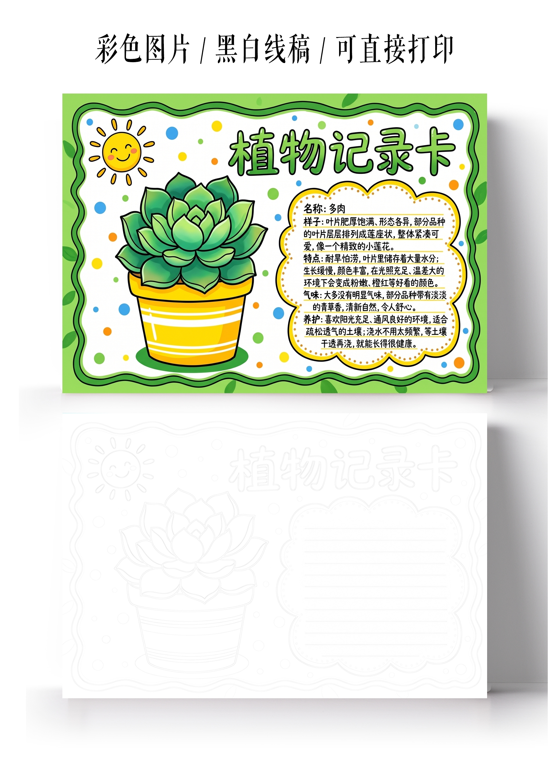 彩色卡通手绘植物记录卡小报手抄报小学生手抄报