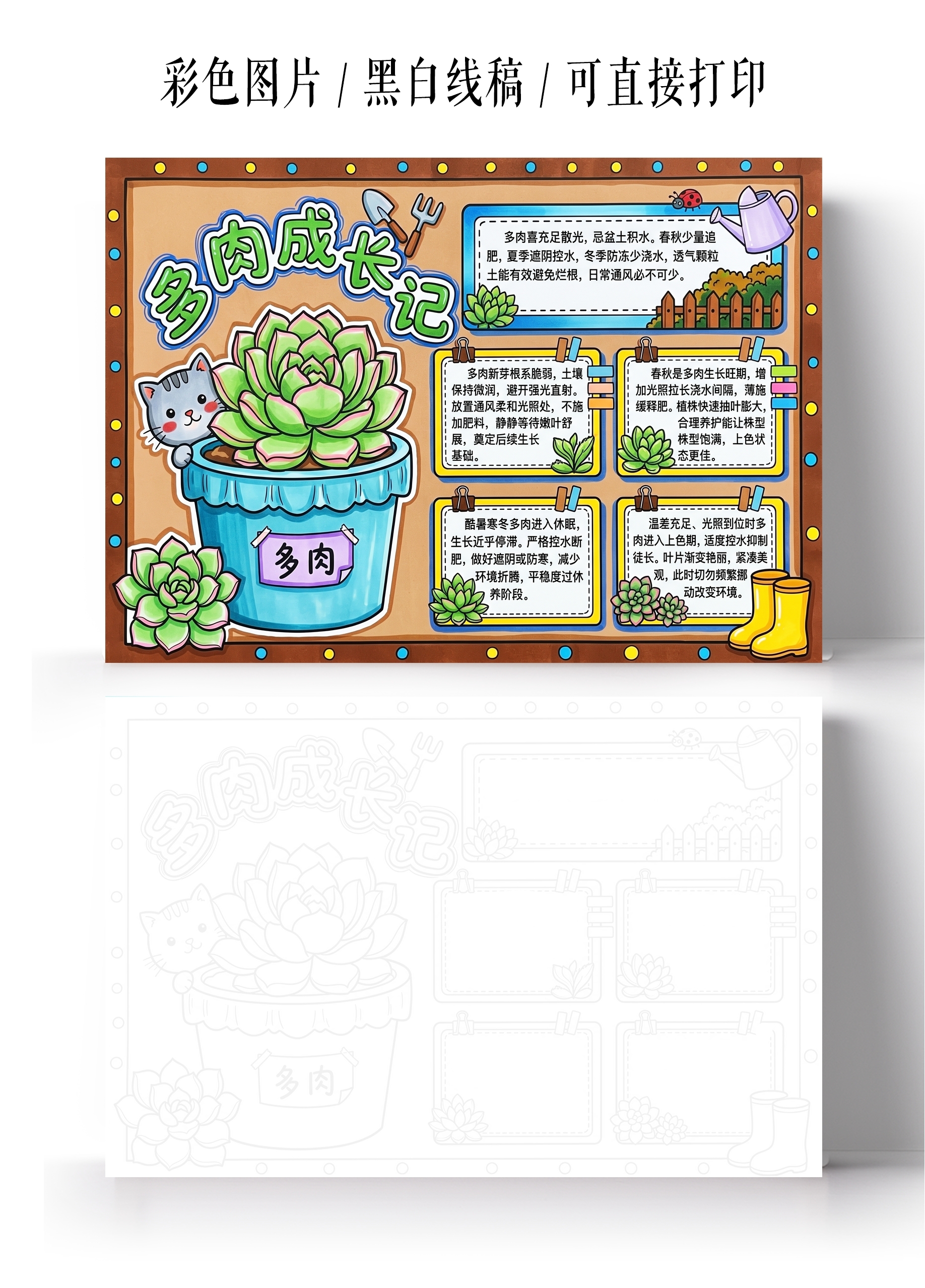 彩色卡通手绘多肉生长记多肉成长记小报手抄报小学生手抄报