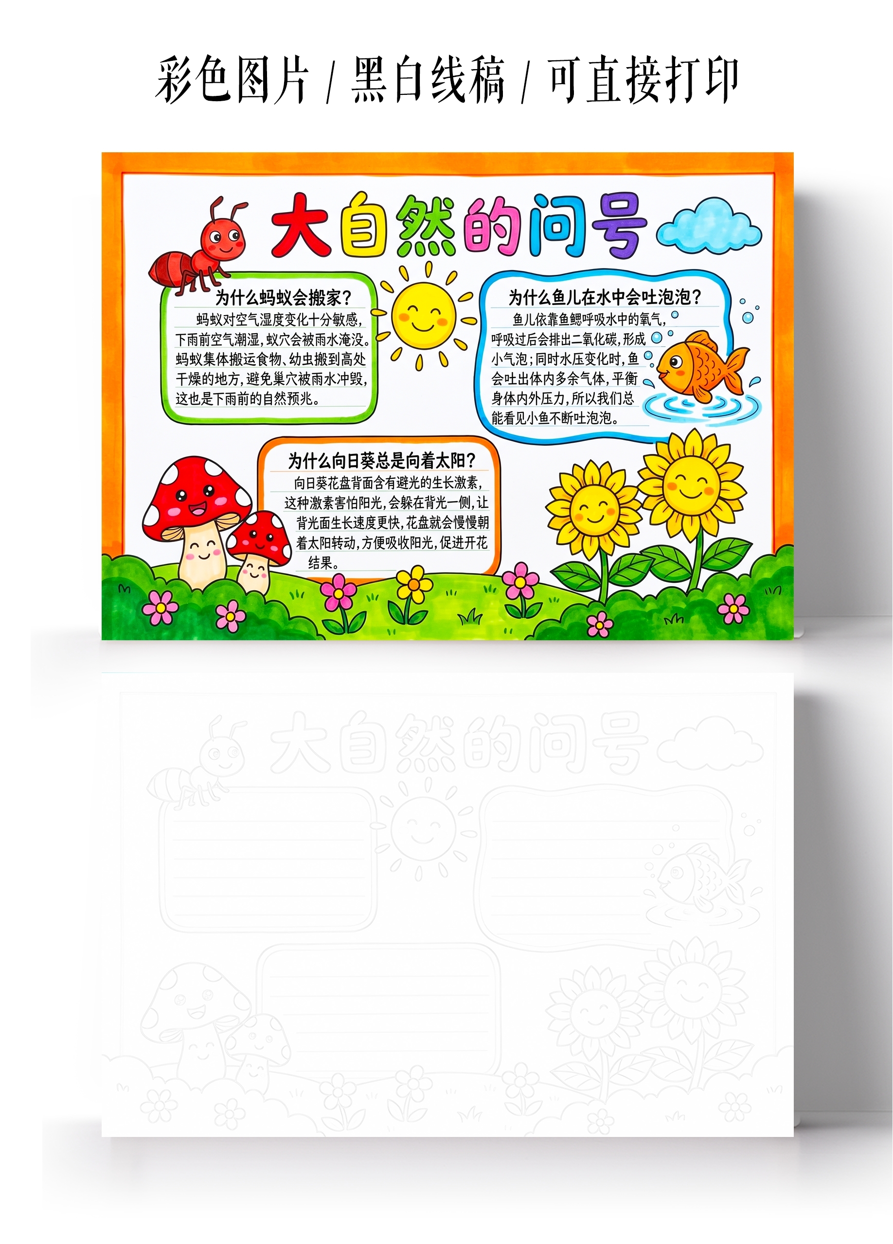 彩色卡通手绘大自然的问号小报手抄报小学生手抄报